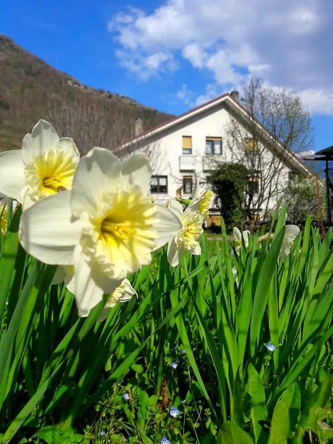 Casa Vacanze Santa Perpetua Tirano